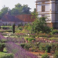 Le parterre en juillet